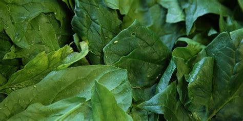Once boiling, turn down the heat, cover and simmer for about 25 minutes. How to Cook Spinach - Great British Chefs