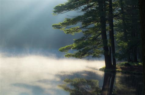 Morning Mist On Lake Photograph By Vince Burke Fine Art America