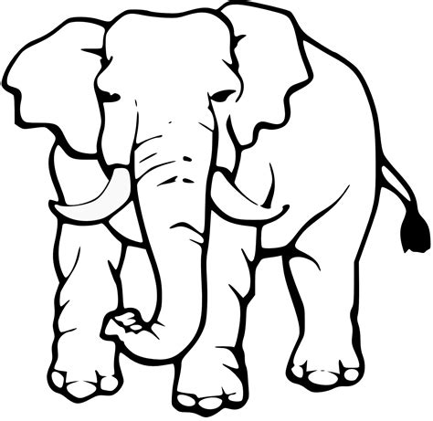 Free Elephant Images Black And White Download Free Elephant Images
