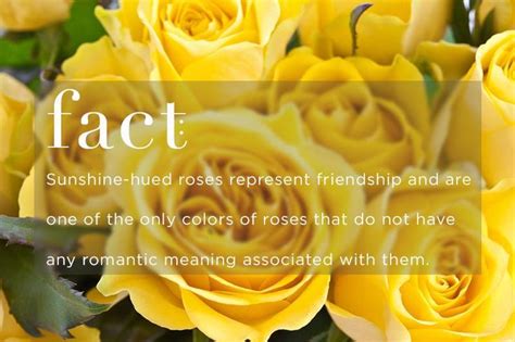 Unbridled joy is another meaning of a yellow rose. Know Your Rose Meanings: Give the Right Rose - Fresh by ...