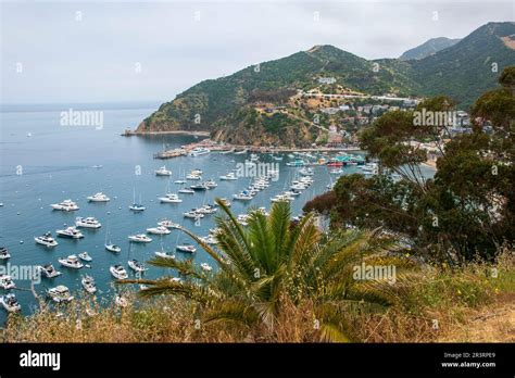 The City Of Avalon Is The Main Population Center On Catalina Island Ca