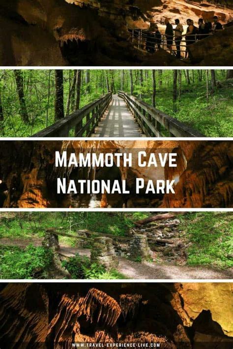 Visiting Mammoth Cave National Park Artofit