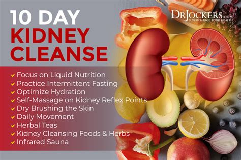 10 Day Kidney Cleanse For Better Energy And Skin Health