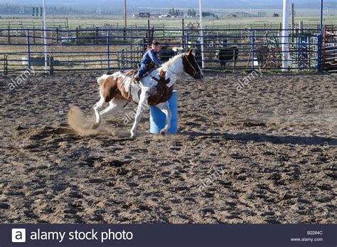 Country Rodeo Near Bryce Canyon In Utah Usa Stock Photo Alamy