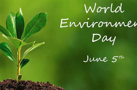 World Environment Day 2021 Library Of Kendriya Vidyalaya Rajgir