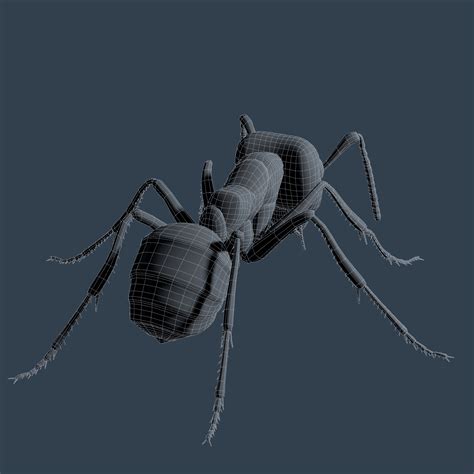 Ant Rigged 3d Model