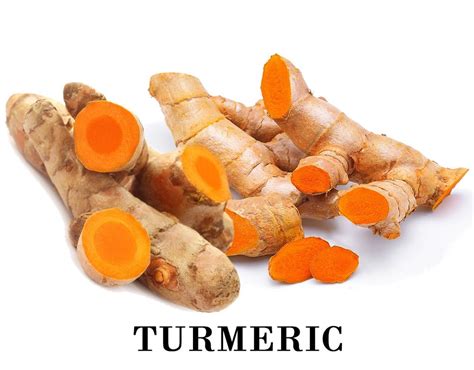 Turmeric Fingers At Rs 50 Kg Turmeric Finger In Chikhli ID 22471523412
