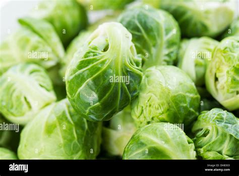 Bushel Sprouts Hi Res Stock Photography And Images Alamy