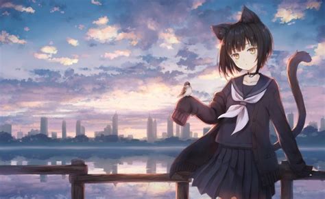 Download 1920x1080 Anime Girl Tail Cityscape Skyscrapers Scenery