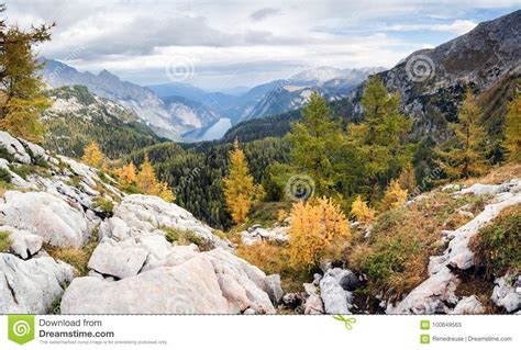 Colorful Larch Trees With Mountains And Lake National Park