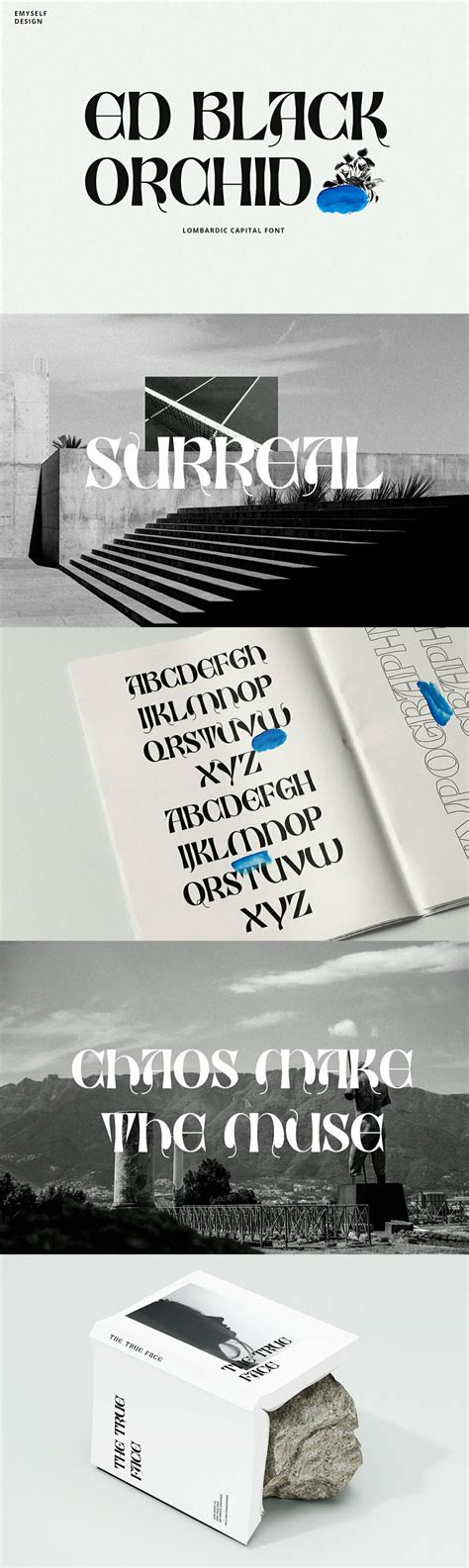 Ed Black Orchid Desktop Font And Webfont Youworkforthem Book Letters