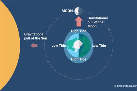 The Moon Causes Tides On Earth