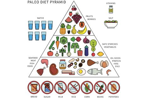 A Beginners Guide To The Paleo Diet Man Of Many