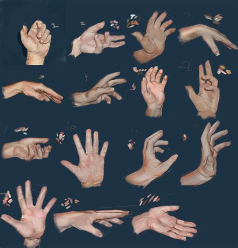 Hand Study By Grundalug On Deviantart Hand Drawing Reference Anatomy