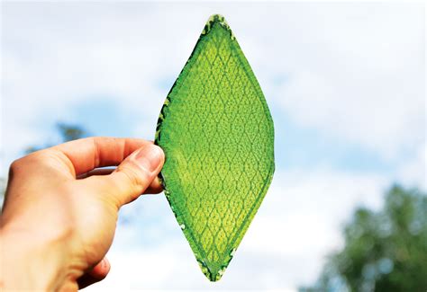 These Artificial Leaves Could One Day Transform Any Building Into Green