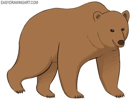 how to draw a bear easy drawing art