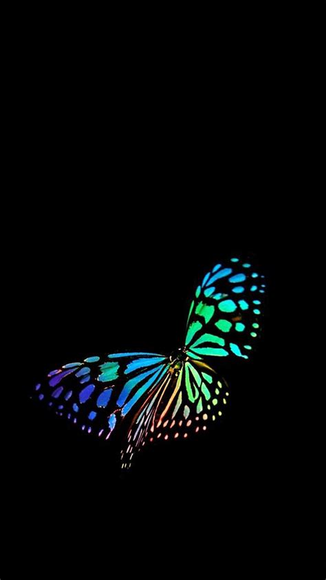 Dark Butterfly Wallpapers Top Free Dark Butterfly Backgrounds