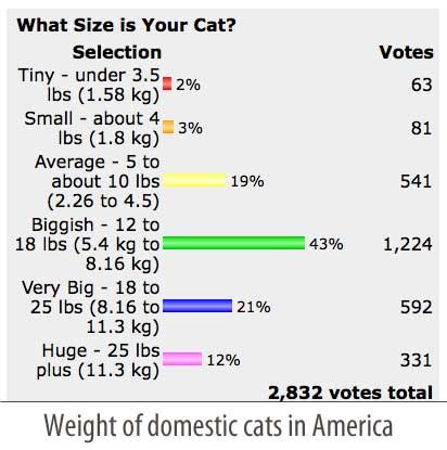 Our neighbor's tabby once gobbled up half a loaf of stale bread i had left out for the birds. Cat Weight Chart