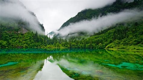 Landscape Of Fog Lagoon Forest Mountain With Reflection On River Hd