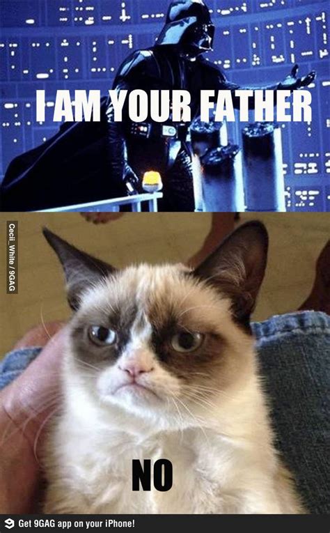 Grumpy Cat Internet Meme Invades Star Wars Funny Grumpy Cat Memes Grumpy Cat Meme Grumpy Cat