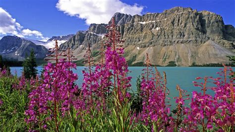World Canada Alberta Bows Banff National Park National