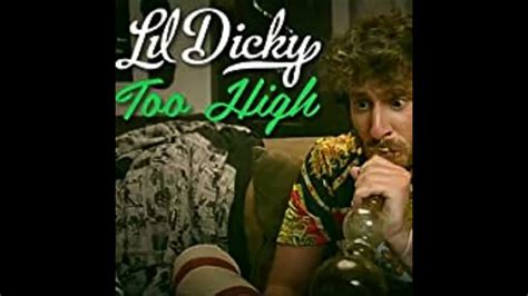 Lil Dicky Too High Clean Youtube