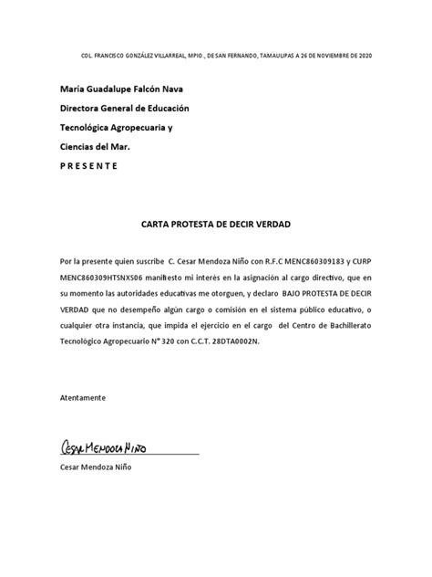 Ejemplo Carta Bajo Protesta Decir Verdad Pdf