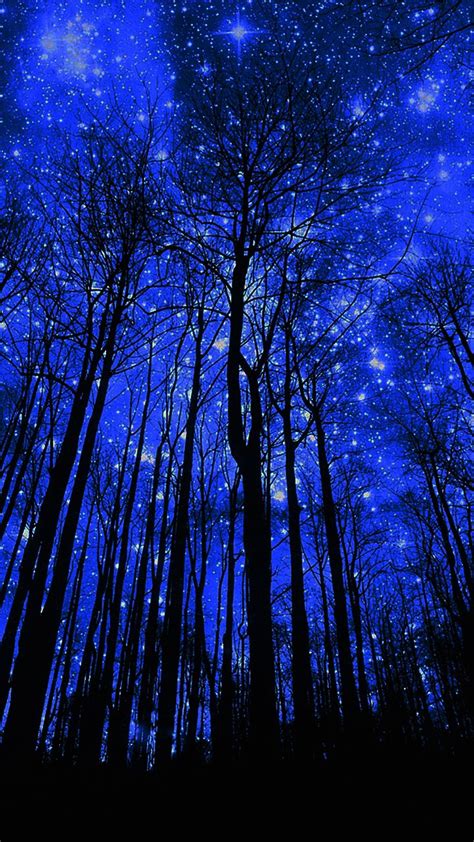 Starry Night Forest Wallpaper Dark Blue Wallpaper Black And Blue