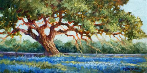 My Painting Of An Old Oak In The Spring Bluebonnets Watercolor