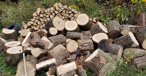 Ash Firewood How To Identify Season Use For Firewood