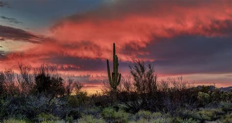 Sonoran Desert Sunset Photograph By Mountain Dreams Fine Art America