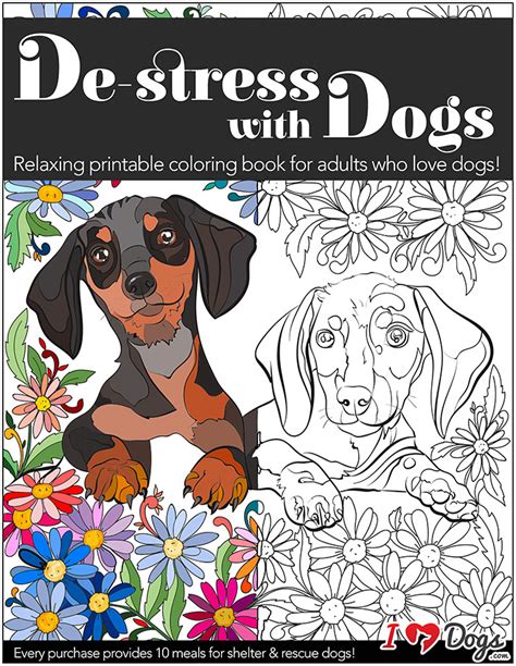 50 Dog Coloring Pages For Adults Animals Images Colorist