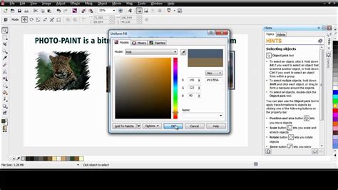 Coreldraw Graphics Suite X6 Photo Paint Basics Youtube