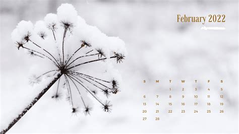 February 2022 Winter Background Calendar Hd February Wallpapers Hd
