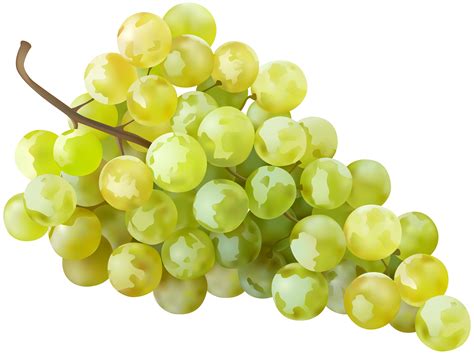 White Wine Sultana Grape Clip Art Grape White Transparent Clip Art