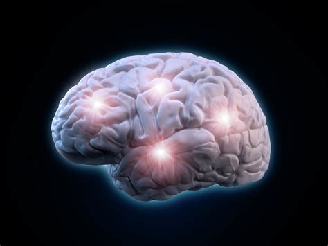 Human Brain Photograph By Andrzej Wojcicki Fine Art America