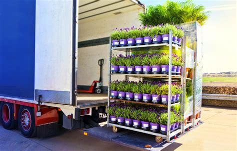 Plant Delivery Or Pickup Whats More Cost Efficient