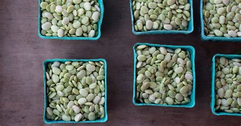 Lima Beans Nutrients Benefits Downsides And More Beans Benefits