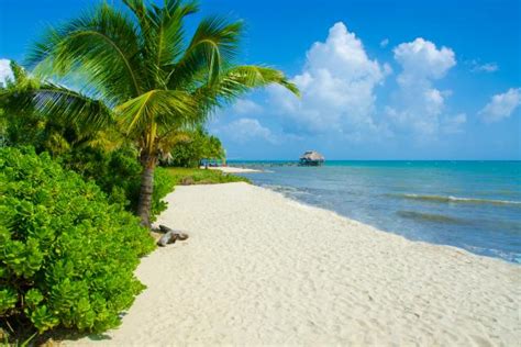 belize s best beaches top beaches in belize central america