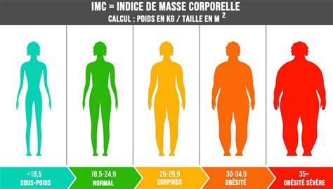 Calcul IMC comment calculer et interpréter son indice de masse corporelle