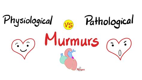 physiological murmurs vs pathological murmurs comparisons youtube