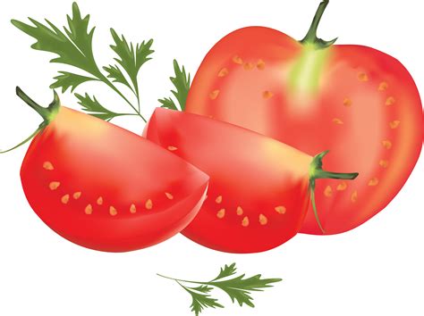 Cutted Tomato Png Transparent Image Download Size 3544x2651px