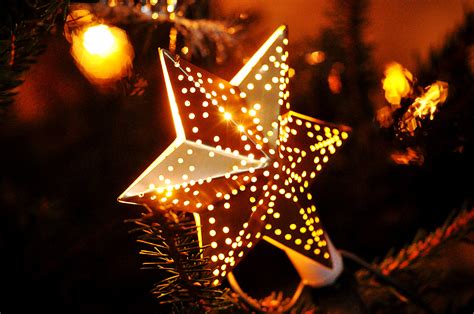 Free Images Winter Light Night Star Holiday Christmas Tree