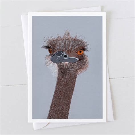 Ostrich Head Greeting Card By Bird