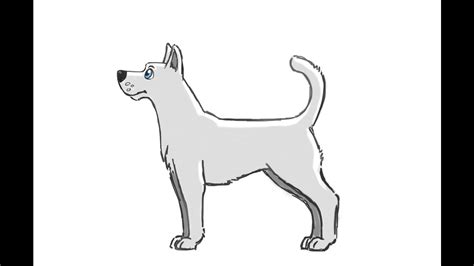 Flash Animation Tutorial Draw Dog In Flashdissection