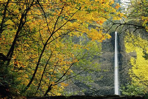 Columbia Latourell Falls With Fall Leaves Columbia River Gorge Stock