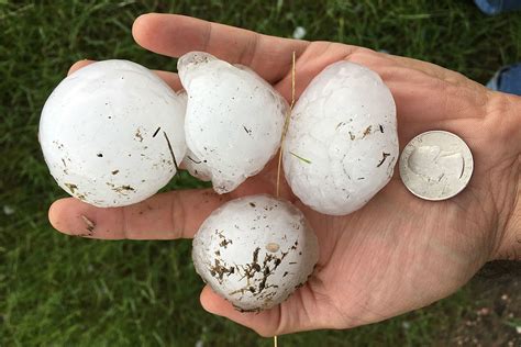 Climate change is leading to an increase in the size of the hail that could hit the northern and central plains. Baseball Size Hail Kills 3 Animals at Cheyenne Mountain Zoo