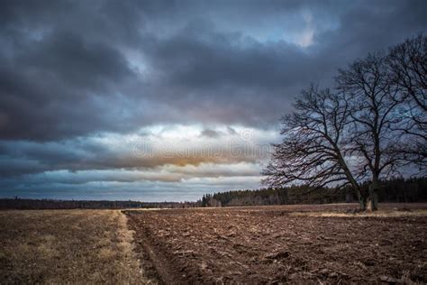 An Early Spring Landscape With Dramatic Skies And Bare Trees Stock