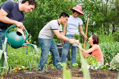 The Value of Community Gardens
