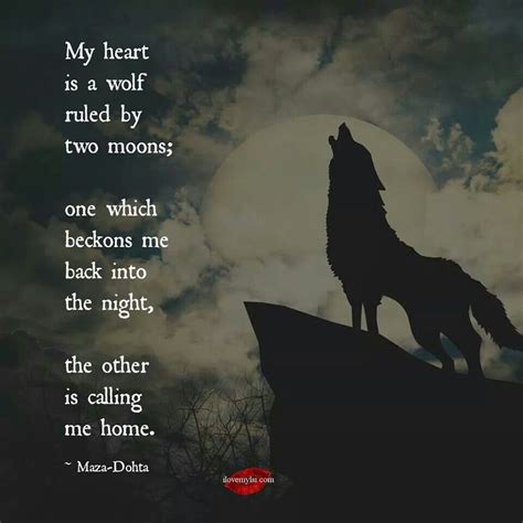 Pin By Michelle Ann On Me Wolf Quotes Lone Wolf Quotes Wolf Spirit